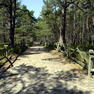 Krukówka Białogóra, domek do wynajęcia