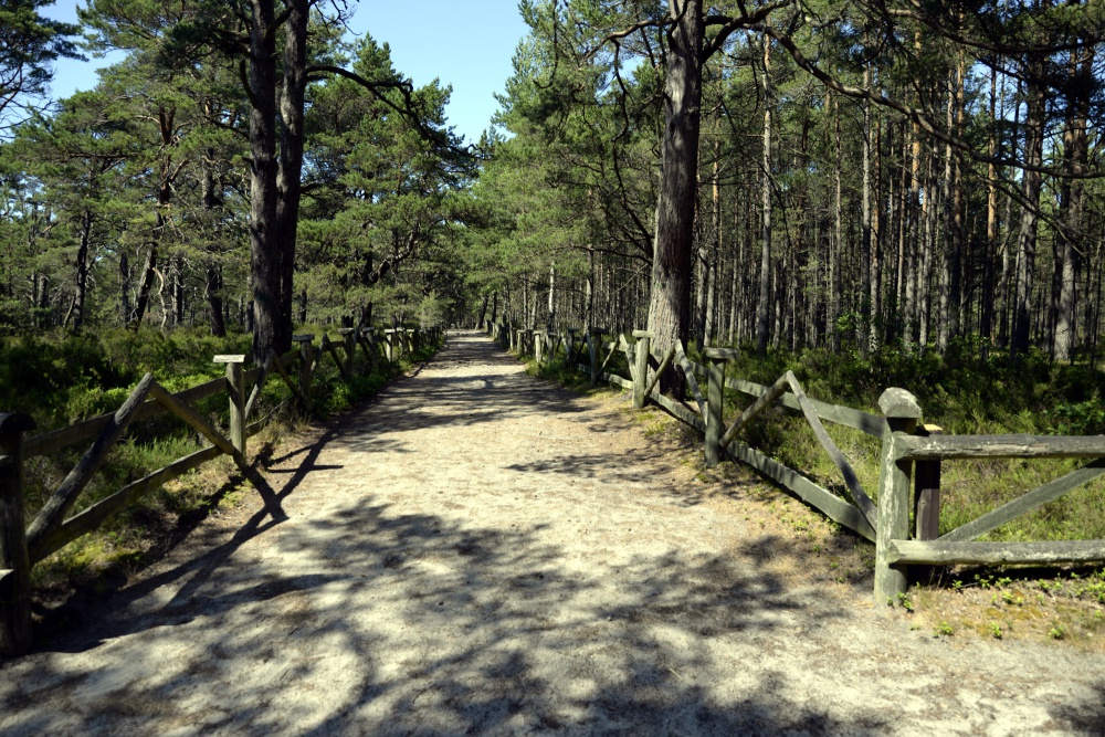 domek do wynajęcia nad Bałtykiem, Białogóra